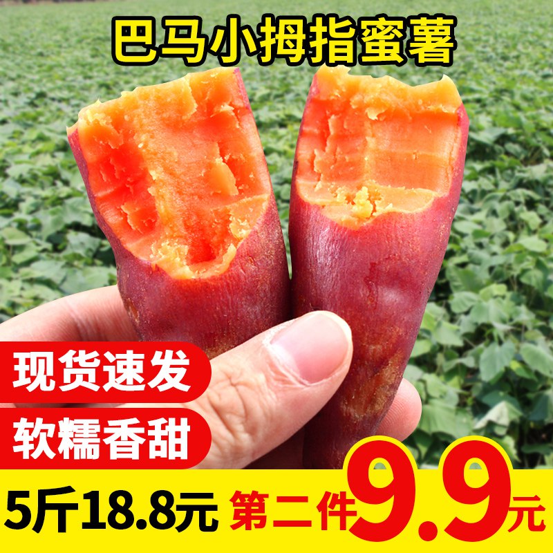 15点 前500件5折=9.4亓巴马拇指小红薯新鲜  (FpPZ1DwJzEA)