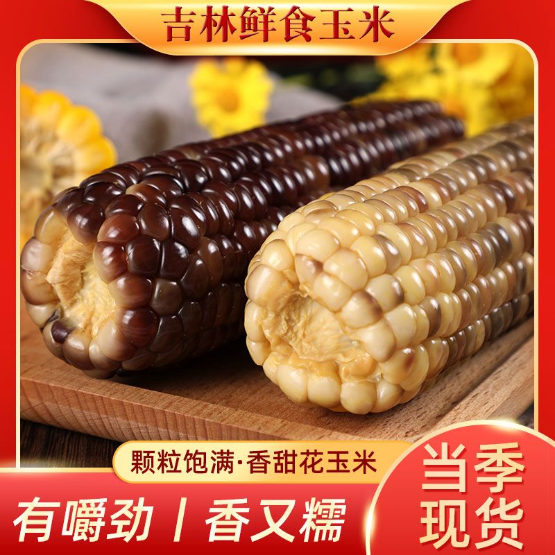 15.9元  念食居旗舰店东北黄糯玉米真空包装10棒(5MmiXfaeicP)/