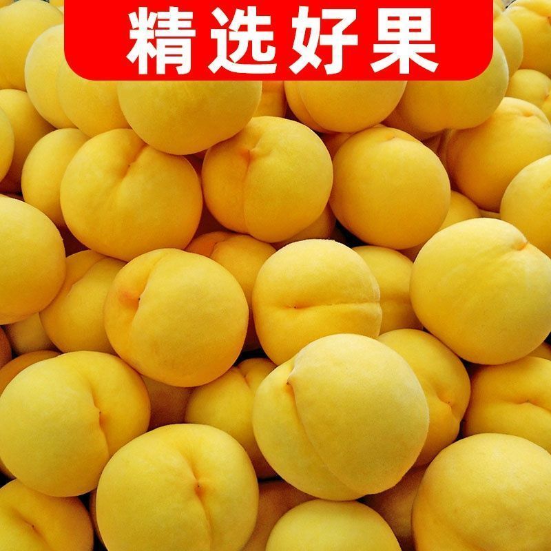 黄桃水果新鲜桃子整箱孕妇应季水果现摘现发当季毛桃32.5元