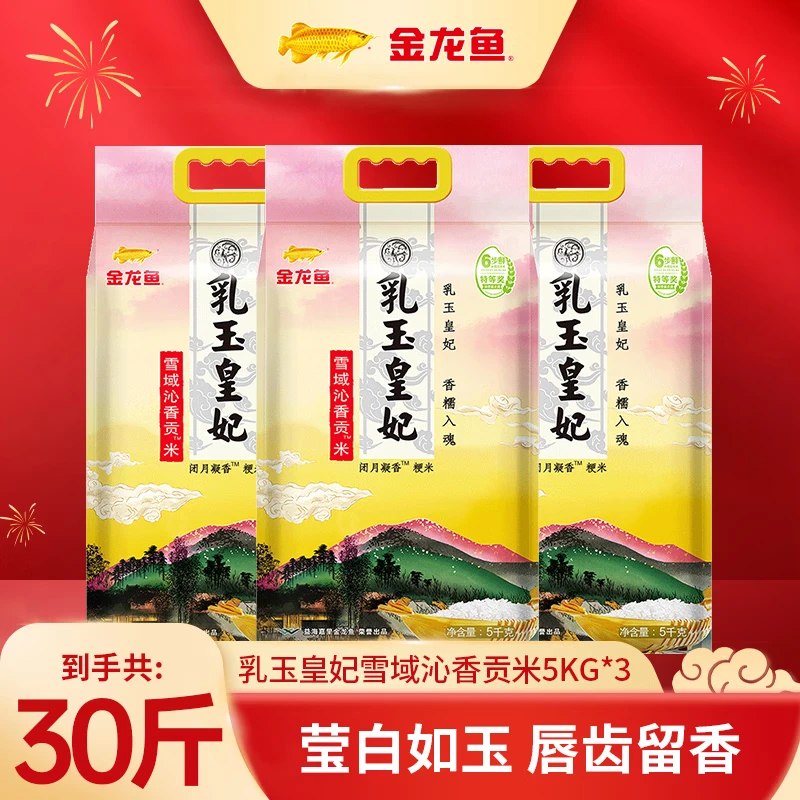 先领卷