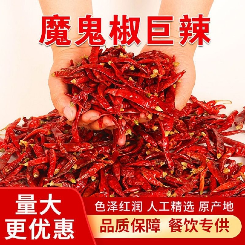 干辣椒特辣印度魔鬼辣椒干辣椒香辣微辣辣椒面香辣微辣辣椒末干货