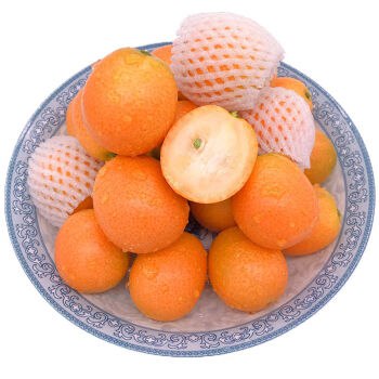 29.8广西金桔净果5斤(泡沫箱发货)    