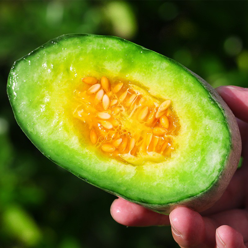 【顺丰快递】新鲜当季水果，羊角蜜甜瓜 5斤装