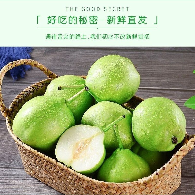 10斤15.8】脆甜多汁砀山青梨子5斤 水果当季新鲜孕妇水果包邮6.9元