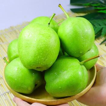 现摘陕西早酥梨应季 净重3斤  9.9  