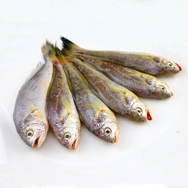 东海鲜冻小黄鱼5斤，53 