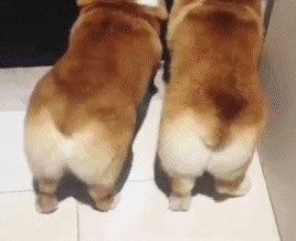 下面开始日常0点时间了