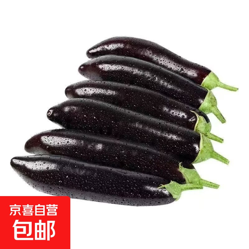 弹5卷2.9元山东新鲜紫长茄5斤