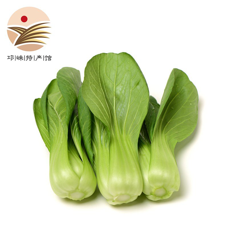 5斤！青菜农田现采 