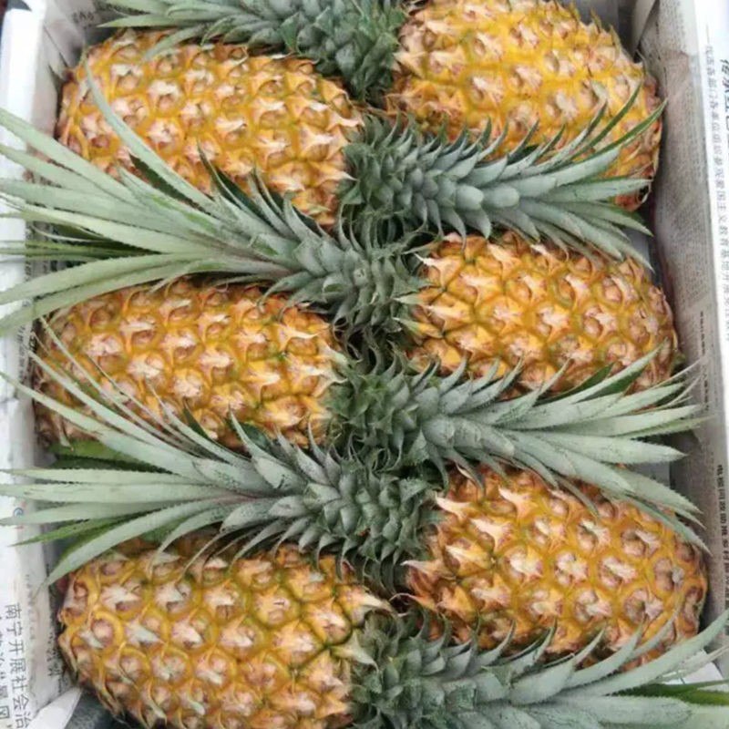 一大箱，大菠萝