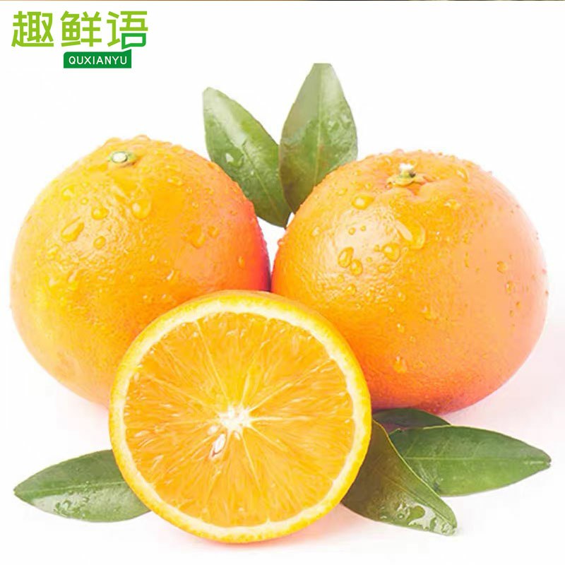 12.9元 趣鲜语旗舰店正宗赣南脐橙3斤(0uOYcqu6oOg)/