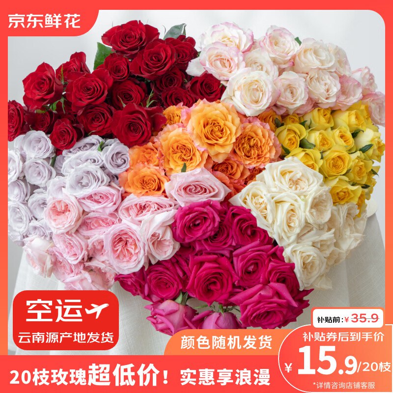自营 京东鲜花玫瑰花合集15.9元 随机色玫瑰10枝送10枝