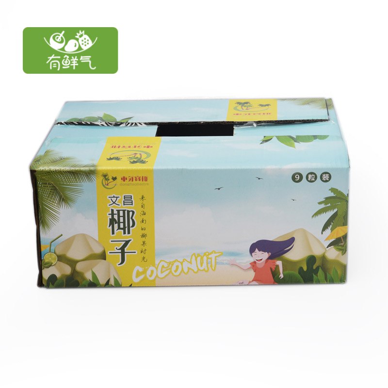 海南椰子9个69.8 送开椰器