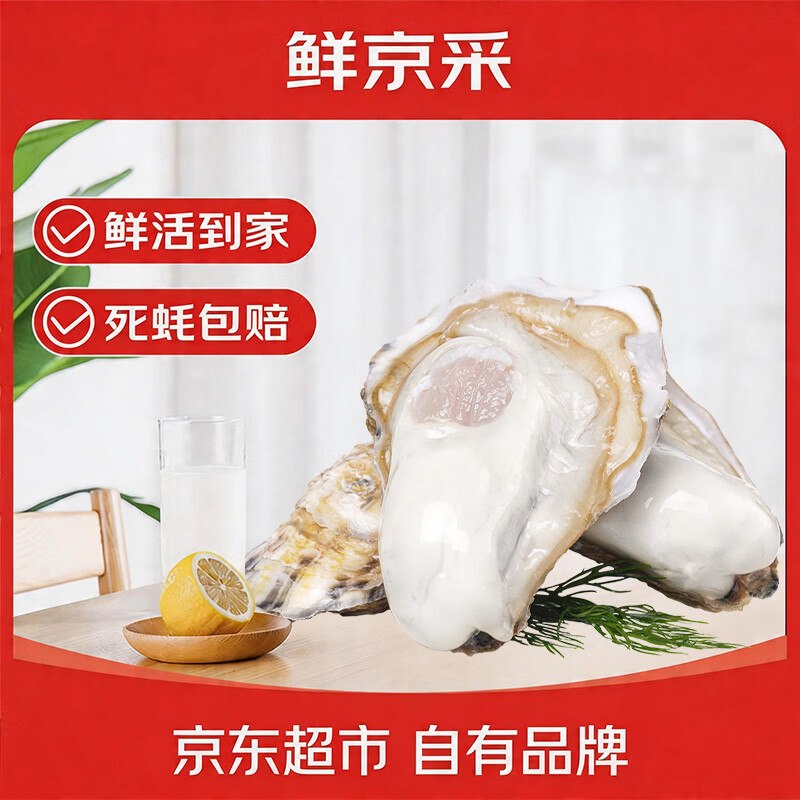 45.9元【自营】鲜京采 鲜活生蚝5XL 净重5斤