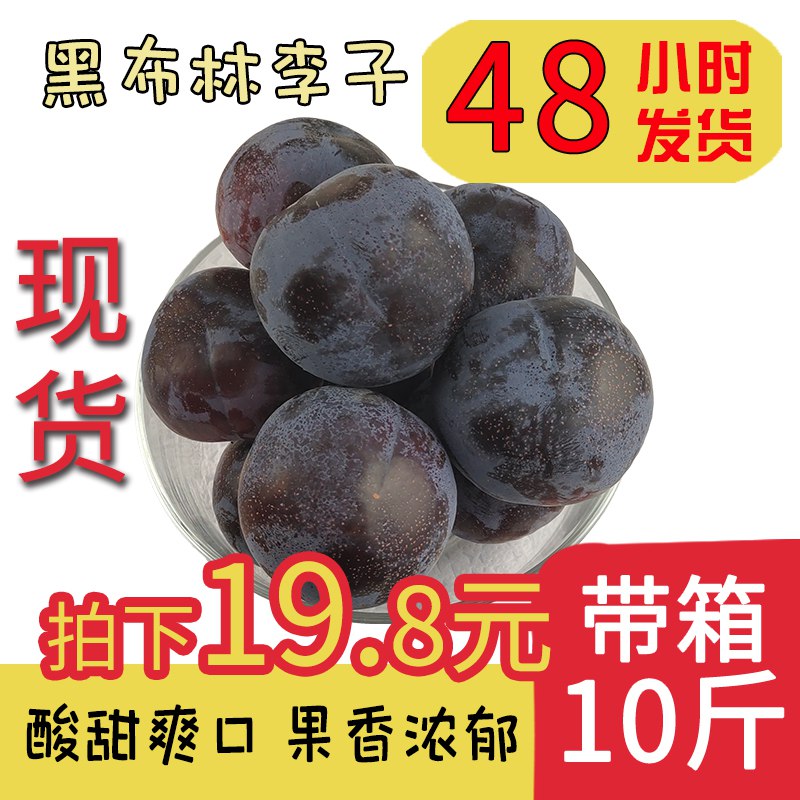 10斤现货黑布林李子  (aelr1x4n5GF)   16.8亓