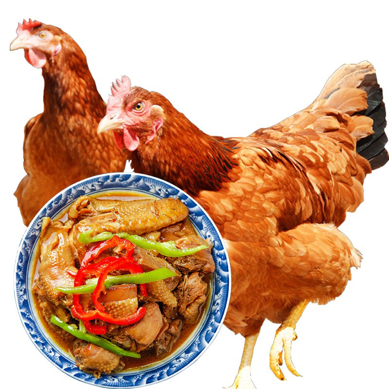 散养土鸡2只49元 每只约2斤