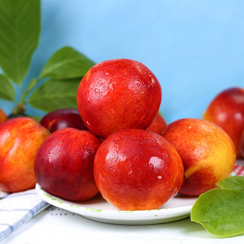 精选黄心油桃，现货现发5斤12.76，折合2.5一斤！！