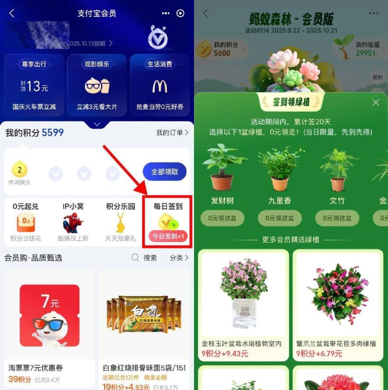 zfb丨我的-zfb会员如图右侧“每日簽.到”累计簽.到0亓拿绿植簽.到天数每个人不同 ---每日红包 u.jd.com/0apPWo4
