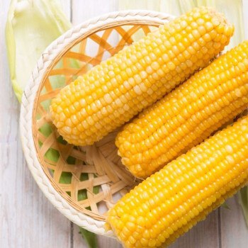 25.8软糯香甜玉米10个