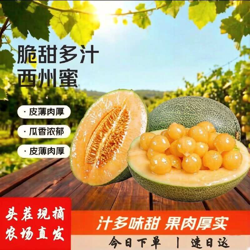 季节集 海南西州蜜哈密瓜 净4.5斤拍下【15.9元】到手约2-3个装！！