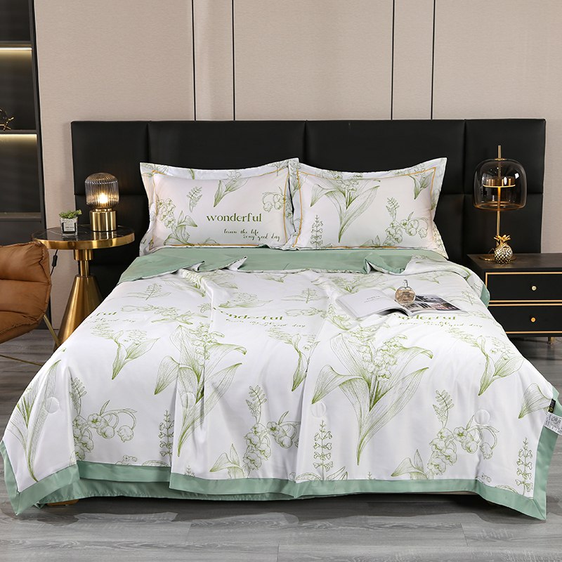 69💵 轻奢夏凉被天丝夏凉被空调被四件套)j4opdLFSlKk)/ CZ11/冰凉丝滑，夏天盖很凉爽轻奢高品质 款式大气上档次