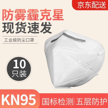 KN 口95罩 10只,现货直发，148