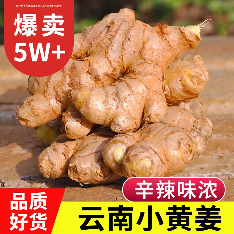 中鲜生 云南小黄姜 净重5斤