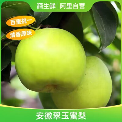 0点开始   19.9💵源生鲜安徽翠玉蜜梨*5斤)OpSAdCnBEtW)/ CZ11//