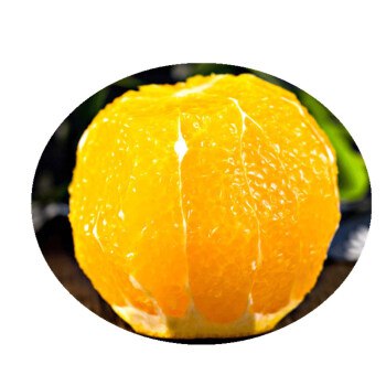 【顺丰包邮】奉节脐橙5斤大果19.8！新鲜包甜！
