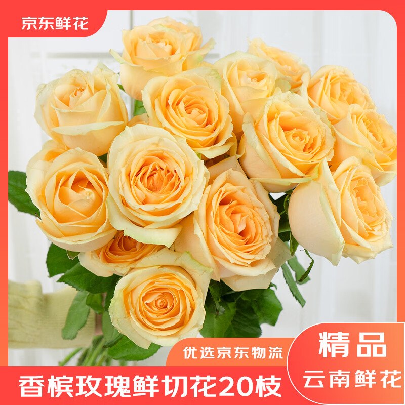 自营京东鲜花 合集！！19.9元 香槟玫瑰 20枝（含赠）