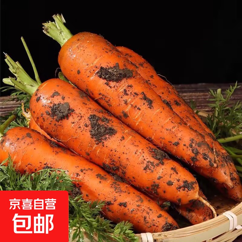 0.99💰胡萝卜🥕