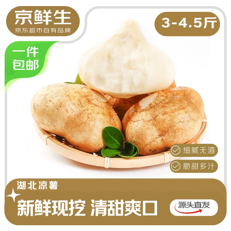 自营京鲜生 湖北新鲜现挖凉薯净重4.5斤 单果230g+