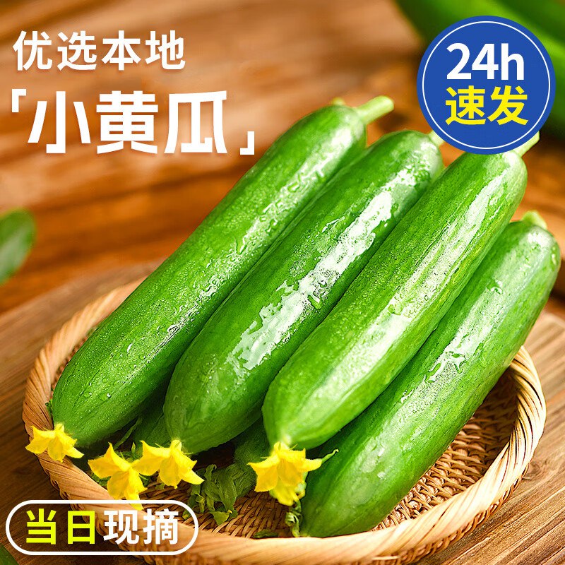 【自营】京鲜生 山东嫩水果黄瓜拍下10.9元得【净4斤】单果70g+