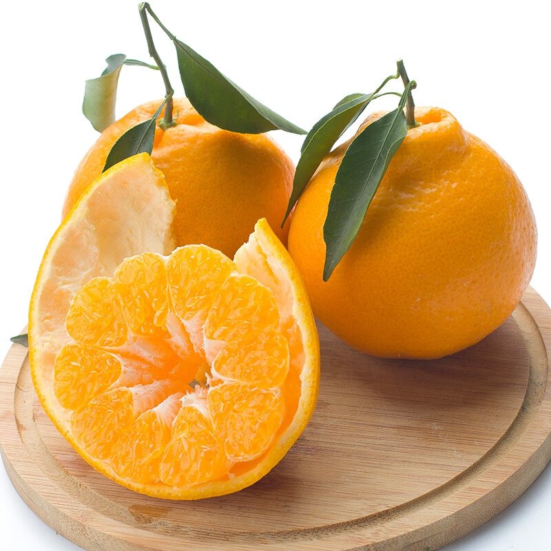 沃多鲜 春见耙耙柑  净重4.5斤13.8亓  单果60mm+