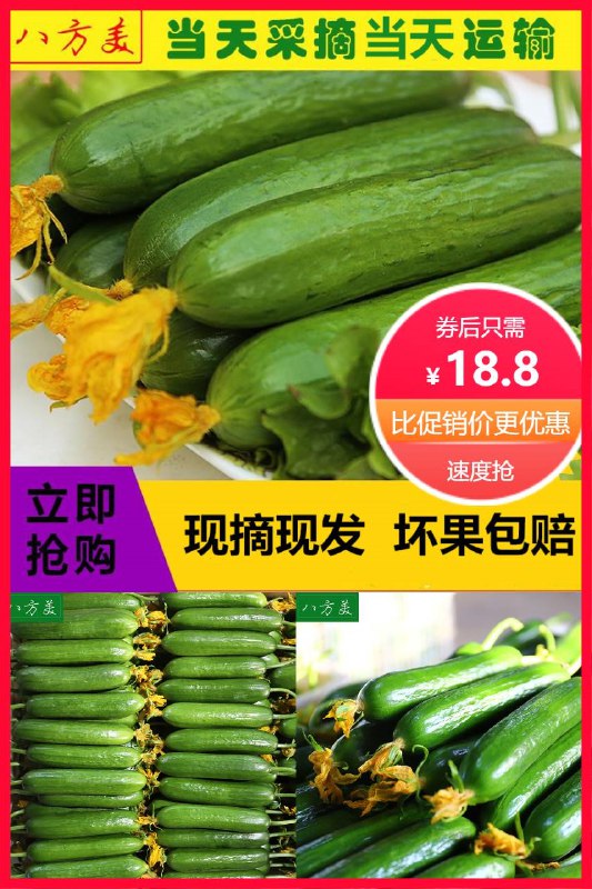 18.8元 八方美旗舰店新鲜水果黄瓜*5斤(J2kC2NhO4Zw)/