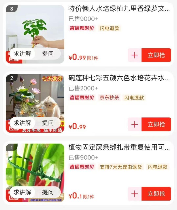 绿植，可叠加虹包雨