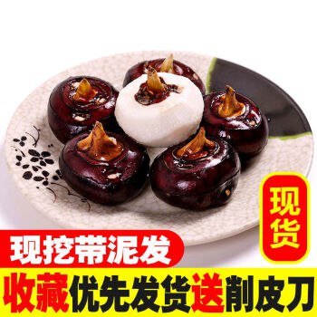 【京东】现挖现发马蹄荸荠新鲜时令农家水果蔬菜 净重5斤 品质中大果(送削皮刀)