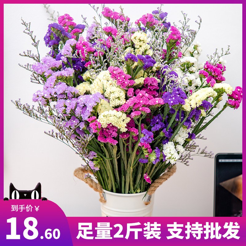 云南风干勿忘我干花共2束原价11.9，我【6.9起】  (76vE1r0tjY8)