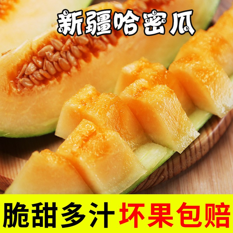 巻后25.8亓哈密瓜9斤  (tmLW1JzUr8O)