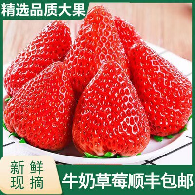 49💵 绿食森旗舰店99红颜草莓黑金礼盒3斤)zgF0WeFpr4J)/ CZ11顺丰空运 到货更快