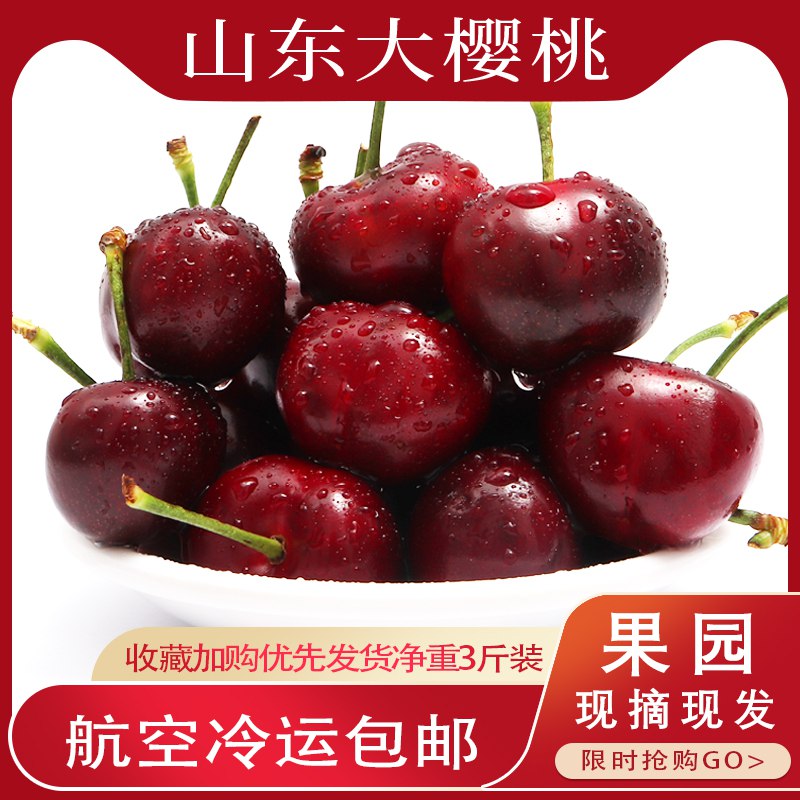 山东先锋大樱桃5斤  58亓  (WiWt1JA5via)
