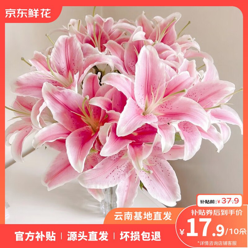 15.9元 ToSpring香水百合10朵