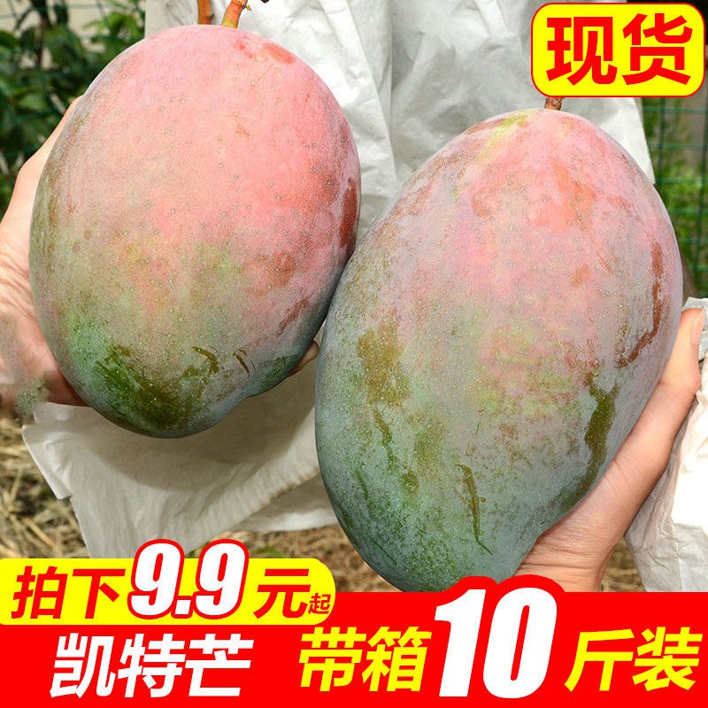攀枝花芒果10斤装水果新鲜凯特芒果大芒果鲜芒果批发5斤2斤，6.9元