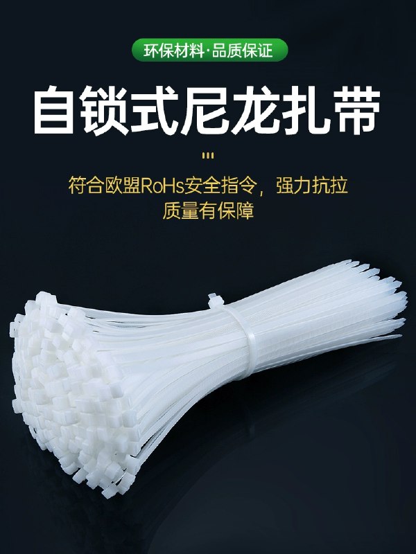1元  自锁式尼龙扎带100条(BTnLchujC83)/