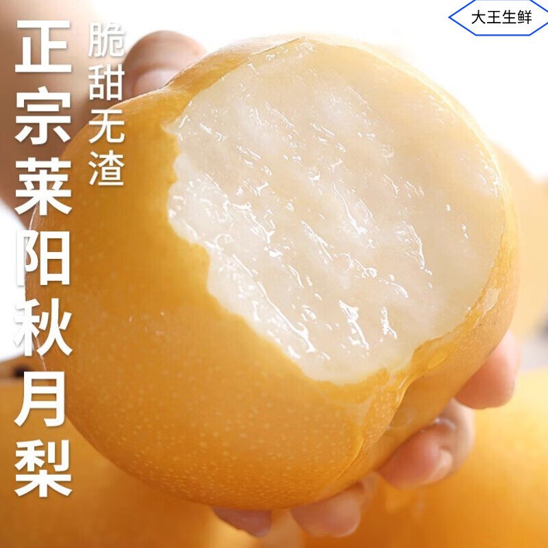 秦悦仙 山东秋月梨净重4.5-5斤