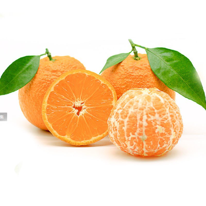 一定拍5份，四川丑橘10斤领标题下35-13券Plus再用105-5券，到手24.9