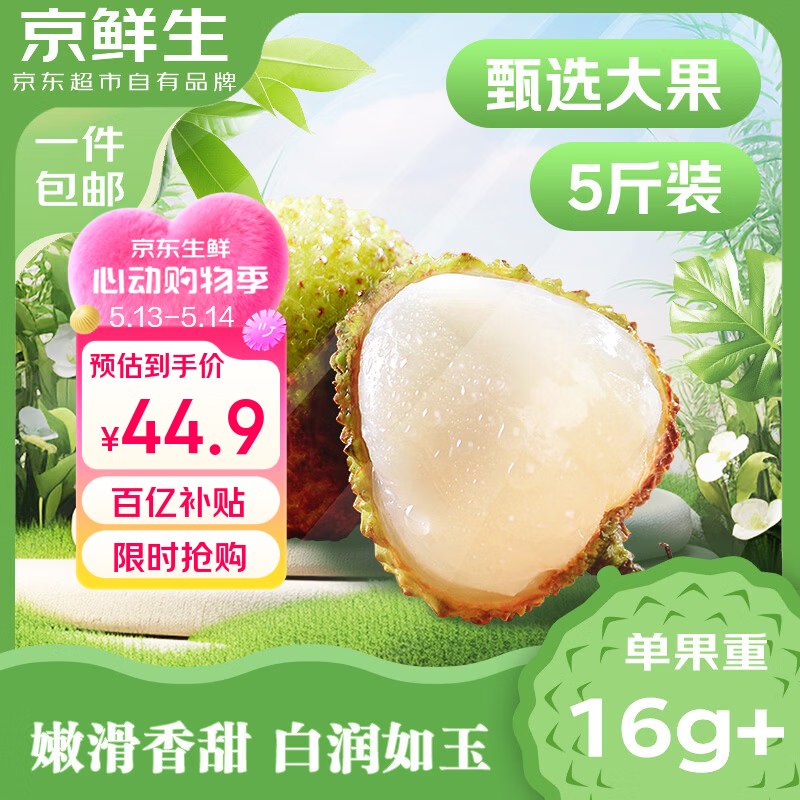 自营京鲜生 海南妃子笑荔枝净重5斤装 单果16-25g