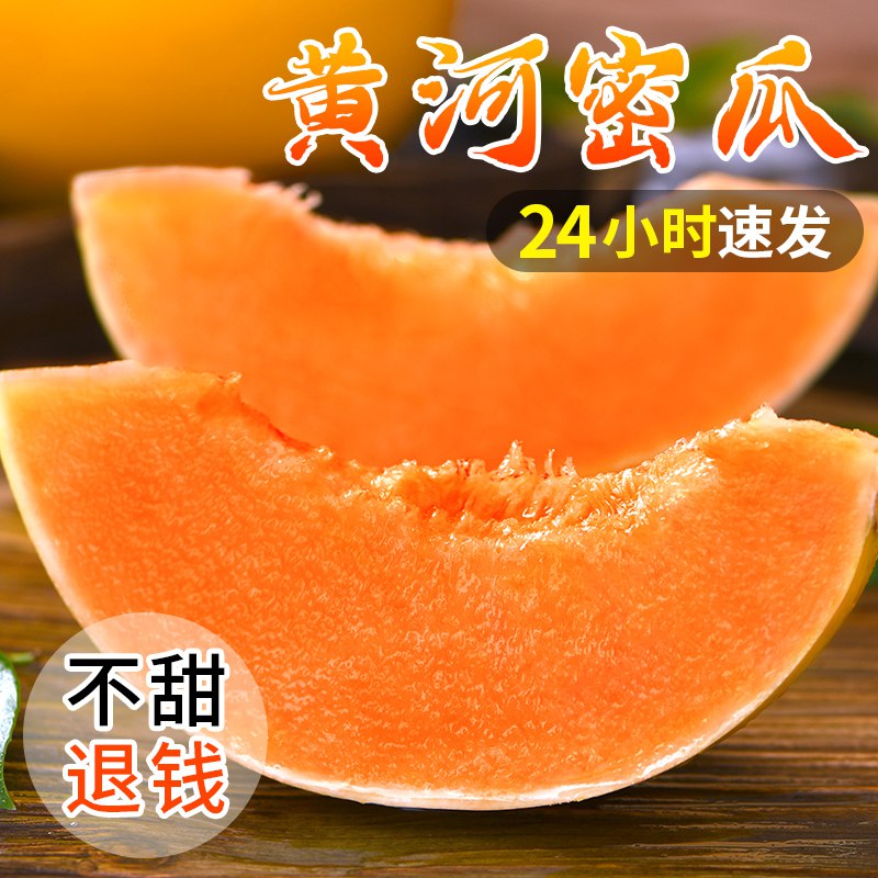 1、黄河蜜甜瓜3斤拍18.8亓选项(YRt72m77moB)/