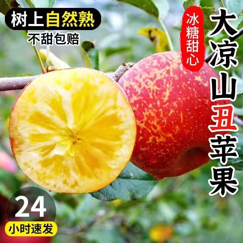 19.9💵【誉福园旗舰店】大凉山丑苹果冰糖心整箱*5斤)o1CjWSjQHNv)/ CZ11//当季新鲜采摘 原生态自然生长果肉细腻多汁 苹果届的天花板很丑但甜爆了！整整有5斤哦~