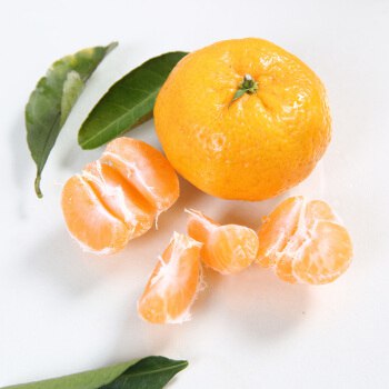 江西南丰蜜桔精品果5斤13.9